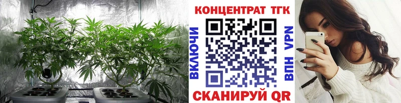 ТГК Wax  blacksprut ссылки  Саянск 