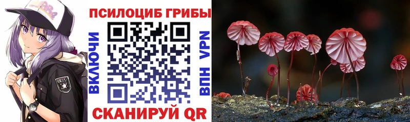 цены   Саянск  Галлюциногенные грибы Magic Shrooms 